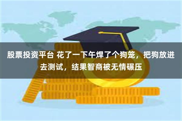 股票投资平台 花了一下午焊了个狗笼，把狗放进去测试，结果智商被无情碾压