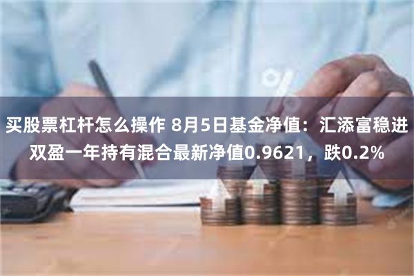 买股票杠杆怎么操作 8月5日基金净值：汇添富稳进双盈一年持有混合最新净值0.9621，跌0.2%