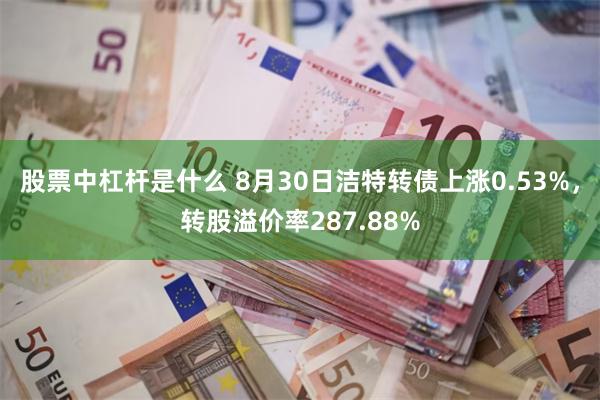 股票中杠杆是什么 8月30日洁特转债上涨0.53%，转股溢价率287.88%