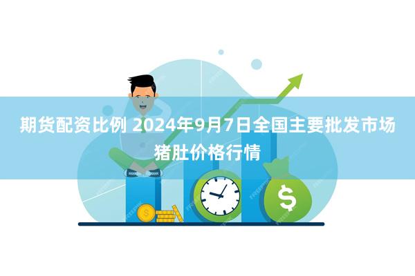 期货配资比例 2024年9月7日全国主要批发市场猪肚价格行情