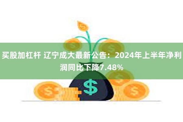 买股加杠杆 辽宁成大最新公告：2024年上半年净利润同比下降7.48%