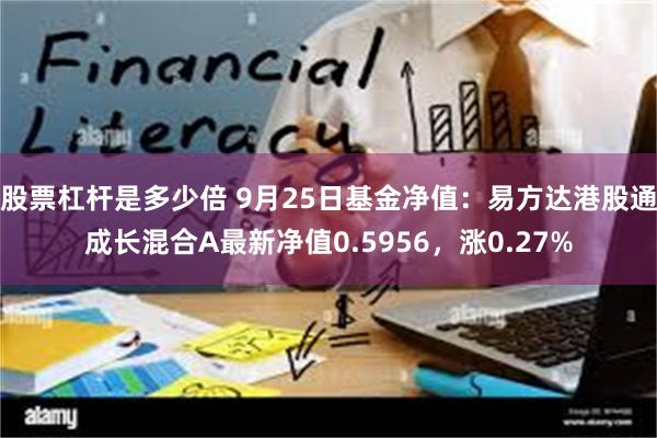 股票杠杆是多少倍 9月25日基金净值：易方达港股通成长混合A最新净值0.5956，涨0.27%