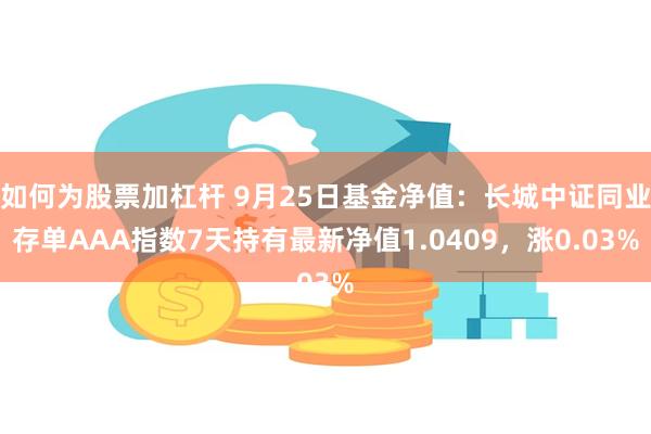 如何为股票加杠杆 9月25日基金净值：长城中证同业存单AAA指数7天持有最新净值1.0409，涨0.03%