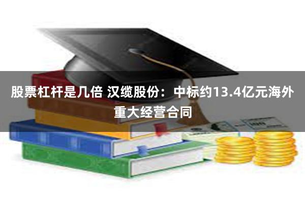 股票杠杆是几倍 汉缆股份：中标约13.4亿元海外重大经营合同