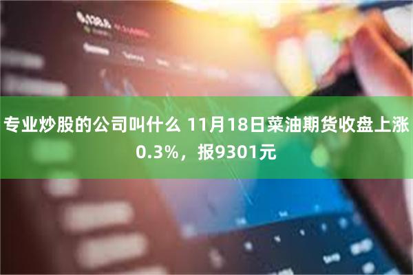 专业炒股的公司叫什么 11月18日菜油期货收盘上涨0.3%，报9301元