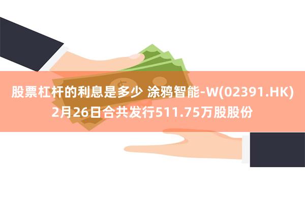 股票杠杆的利息是多少 涂鸦智能-W(02391.HK)2月26日合共发行511.75万股股份