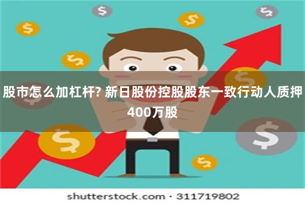 股市怎么加杠杆? 新日股份控股股东一致行动人质押400万股